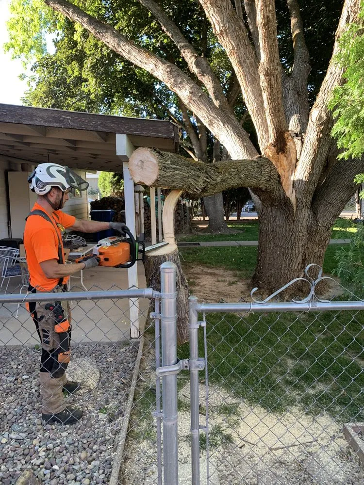 Affordable yard cleanup service in Boise, ID - Tapsons Tree Service