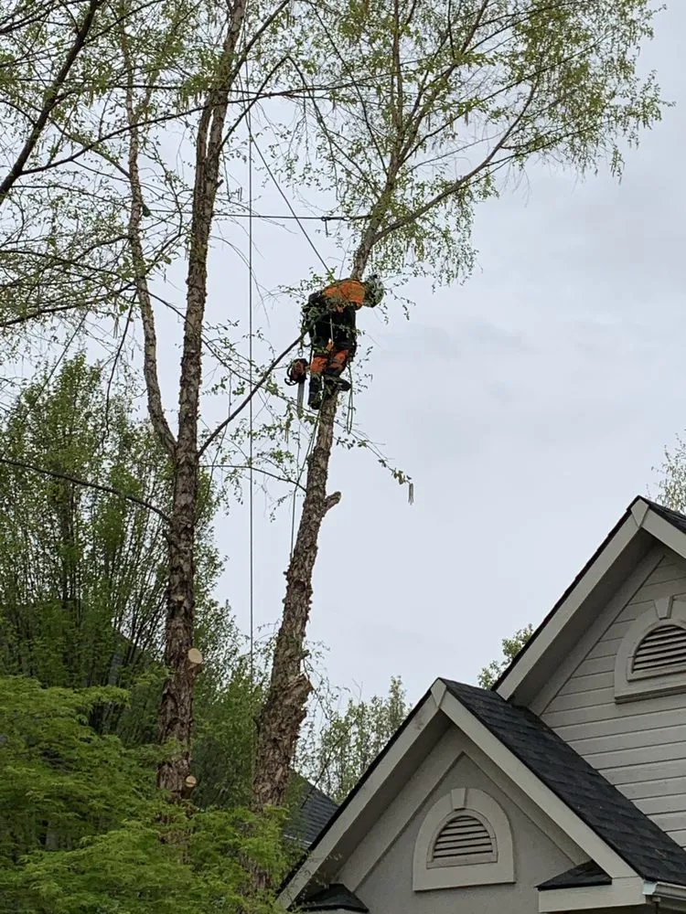 Top-rated landscaping services in Boise, ID by Tapsons Tree Service