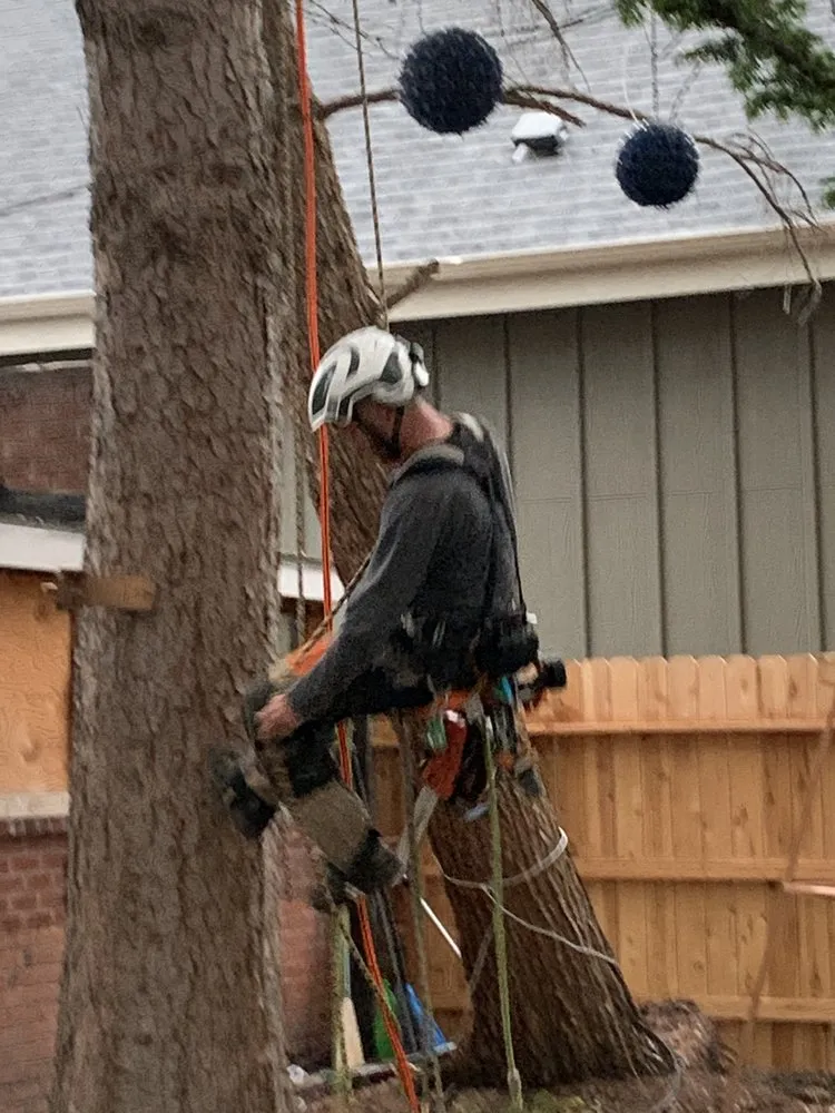 Local landscape design in Boise, ID - Tapsons Tree Service