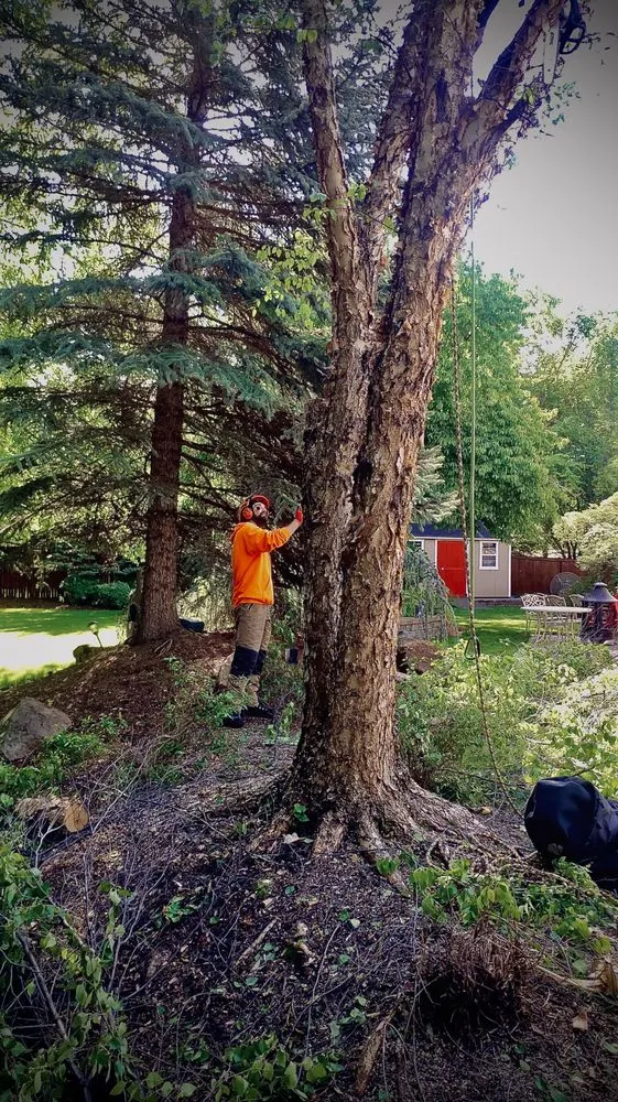 Expert garden landscaping in Boise, ID by Tapsons Tree Service