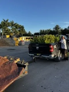 Professional garden landscaping for year-round maintenance across Miami, FL - Tar Pine Landscape