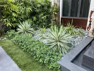 Local yard cleanup service in Miami, FL - Tar Pine Landscape