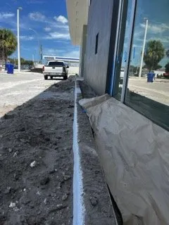 Expert landscaping services for beautiful yards across Miami, FL - Tar Pine Landscape