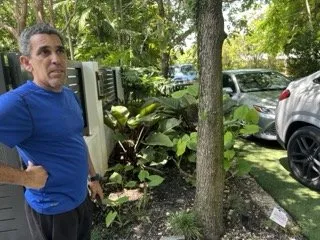 Reliable yard cleanup service experts serving Miami, FL - Tar Pine Landscape