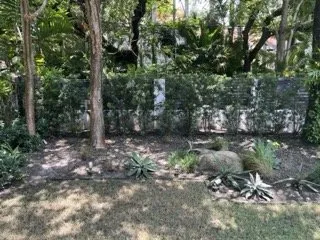Affordable garden landscaping experts serving Miami, FL - Tar Pine Landscape