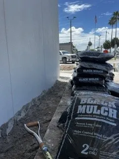 Top-rated lawn mowing service for year-round maintenance across Miami, FL - Tar Pine Landscape