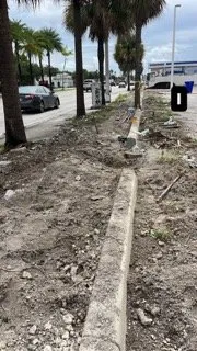 Trusted landscape design in Miami, FL by Tar Pine Landscape