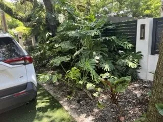 Local residential landscaping for residential properties in Miami, FL by Tar Pine Landscape