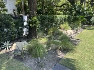 Top-rated landscaping services in Miami, FL - Tar Pine Landscape