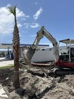 Professional residential landscaping near you across Miami, FL - Tar Pine Landscape