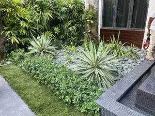 Top-rated landscape design in Miami, FL - Tar Pine Landscape