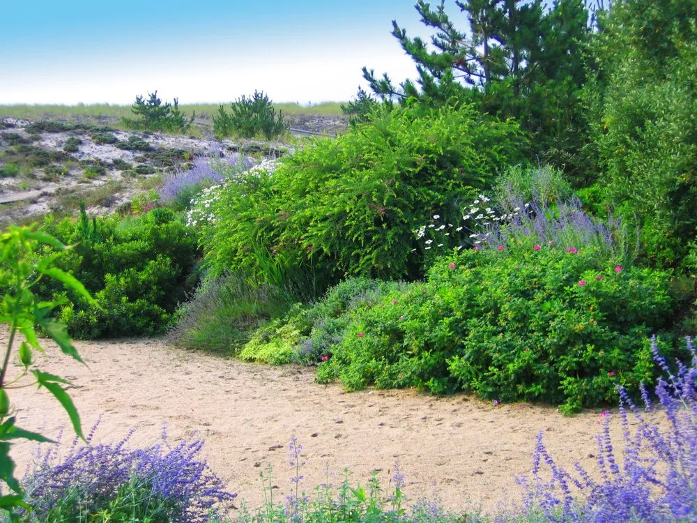 Top-rated lawn care service in Southampton, NY by Tara Gardens