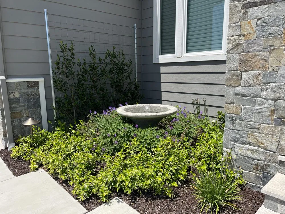 Affordable landscaping services for outdoor upgrades across Windsor, CA - Tarantino's Yardscapes