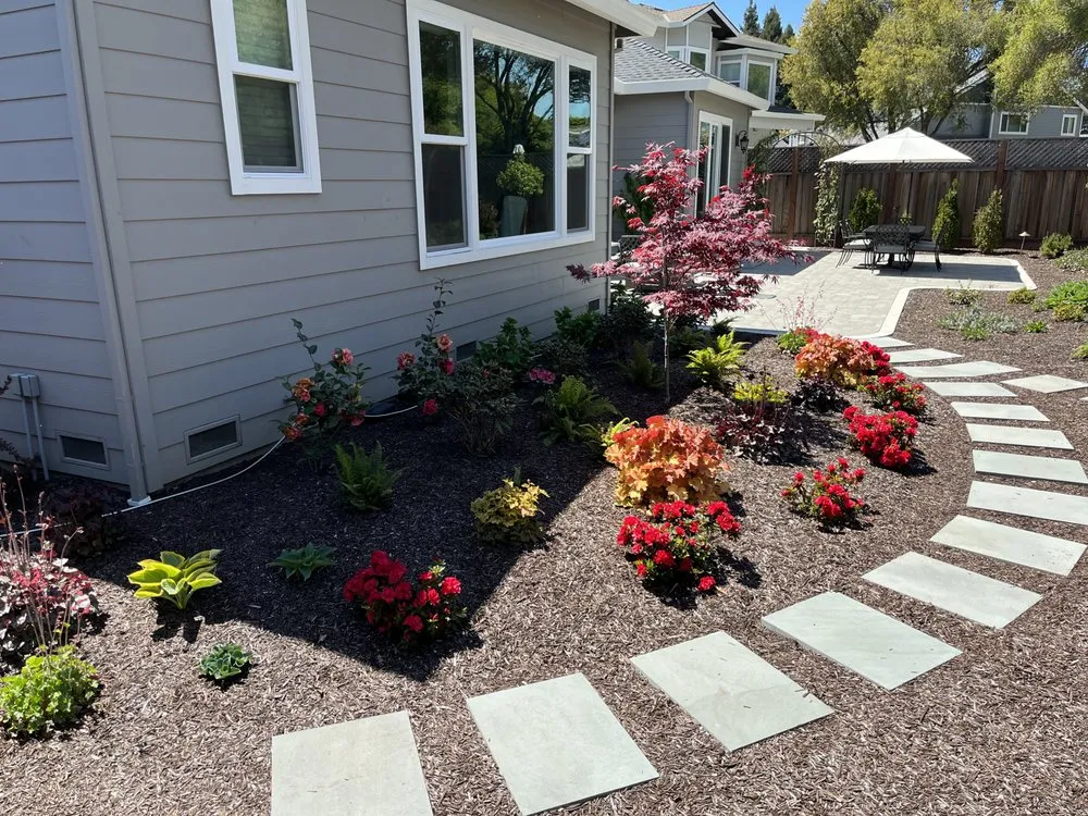 Top-rated yard maintenance experts serving Windsor, CA - Tarantino's Yardscapes