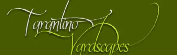 Top-rated lawn mowing service experts serving Windsor, CA - Tarantino's Yardscapes