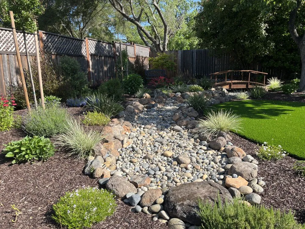 Affordable yard cleanup service for homes in Windsor, CA by Tarantino's Yardscapes