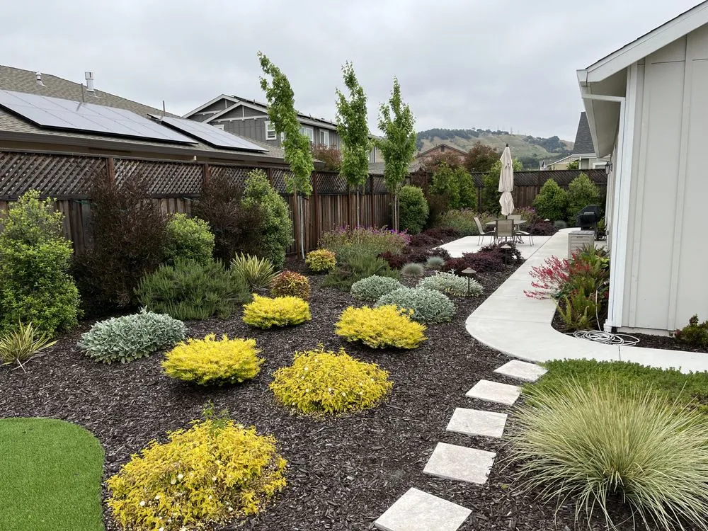 Reliable landscaping services near you across Windsor, CA - Tarantino's Yardscapes