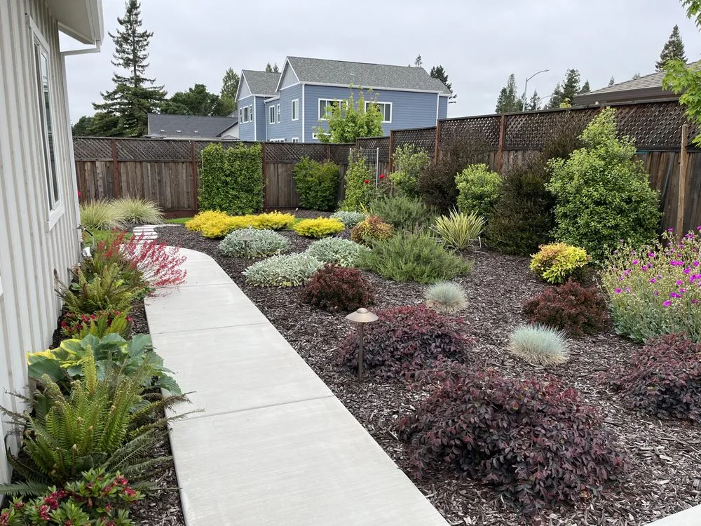 Top-rated residential landscaping for beautiful yards across Windsor, CA - Tarantino's Yardscapes