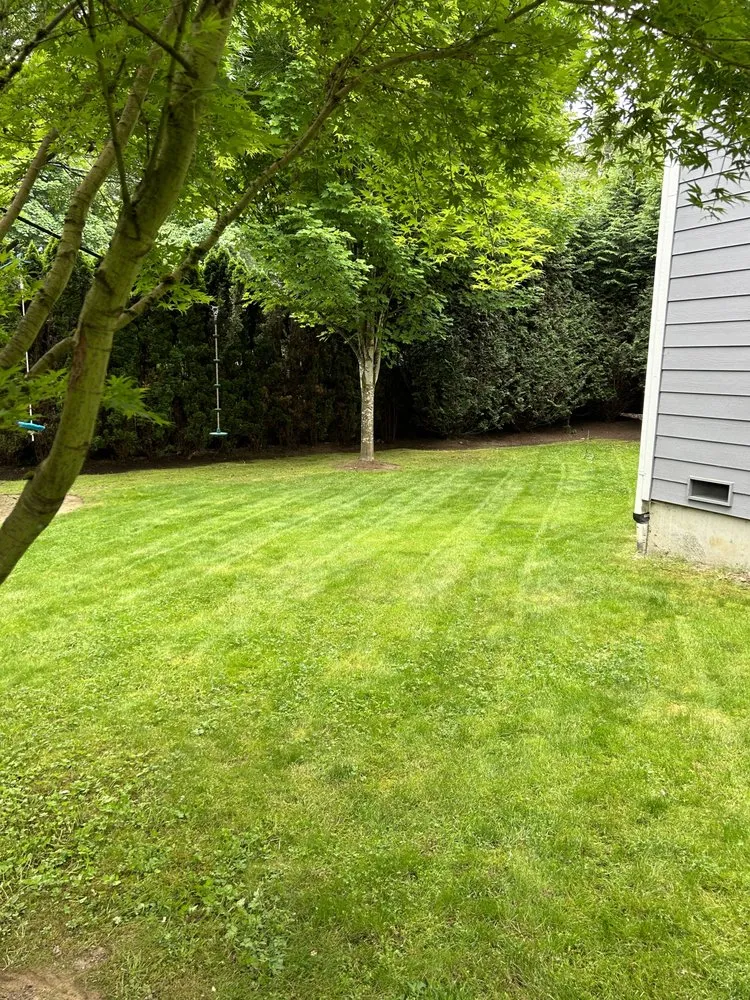 Trusted lawn mowing service near you in Renton, WA by Tarascan Landscaping