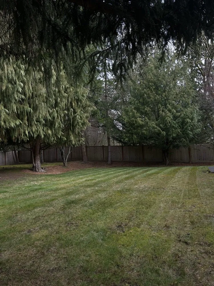 Top-rated yard maintenance in Renton, WA by Tarascan Landscaping