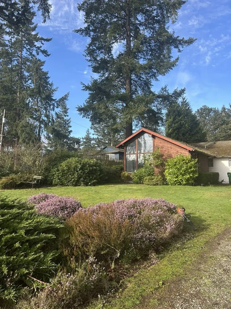 Custom yard maintenance experts serving Renton, WA - Tarascan Landscaping