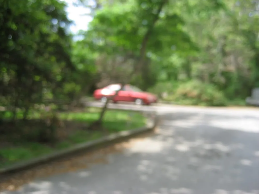 Trusted landscaping services for beautiful yards in Tarboro, NC by Tarboro Lawn Mowing