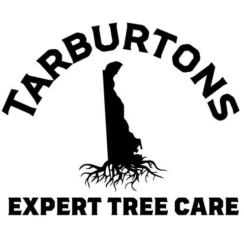 Expert yard cleanup service experts serving Wilmington, DE - Tarburton's Tree and Landscaping