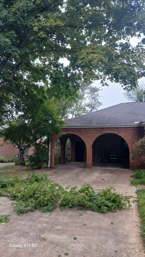 Trusted lawn care service in Cedar Grove, TN - Target Property Services