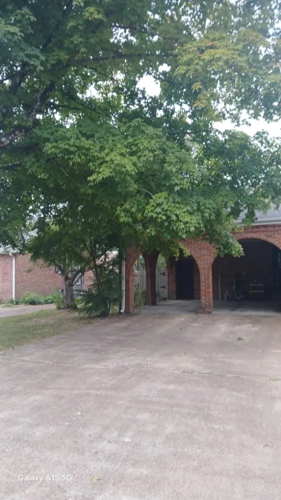 Custom yard maintenance in Cedar Grove, TN - Target Property Services