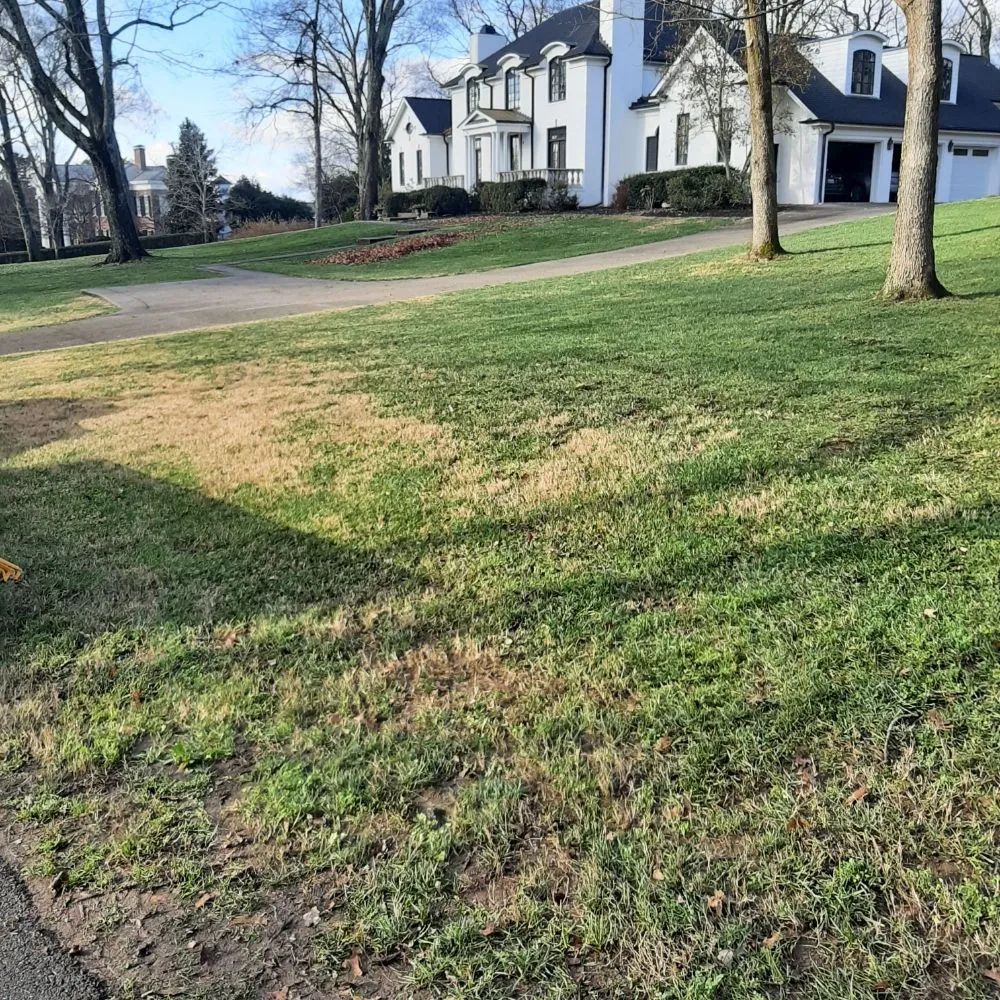 Expert lawn mowing service in Cedar Grove, TN by Target Property Services