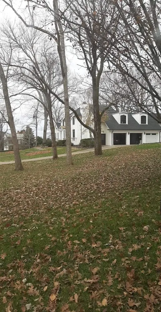 Trusted landscape installation in Cedar Grove, TN - Target Property Services