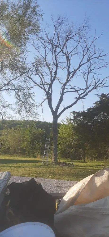 Professional residential landscaping in Cedar Grove, TN - Target Property Services