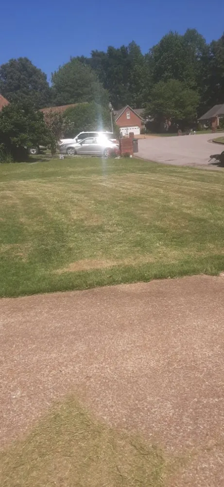 Local garden landscaping near you in Cedar Grove, TN by Target Property Services