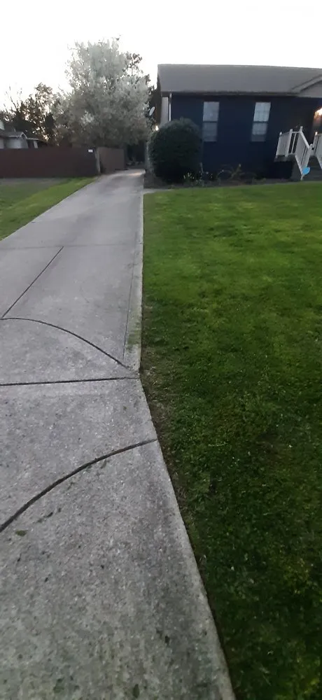 Affordable landscape installation in Cedar Grove, TN - Target Property Services