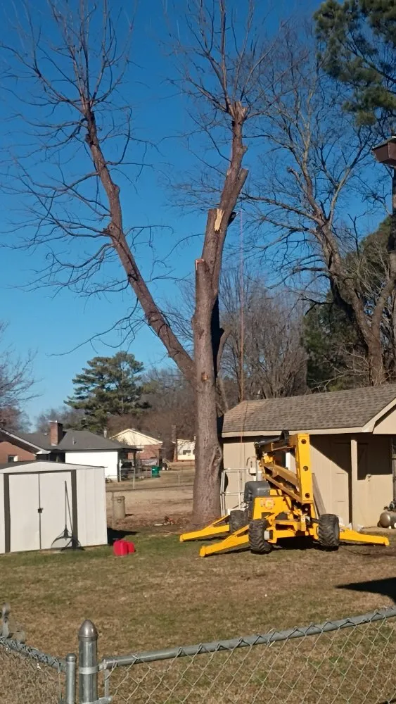Trusted garden landscaping experts serving Cedar Grove, TN - Target Property Services