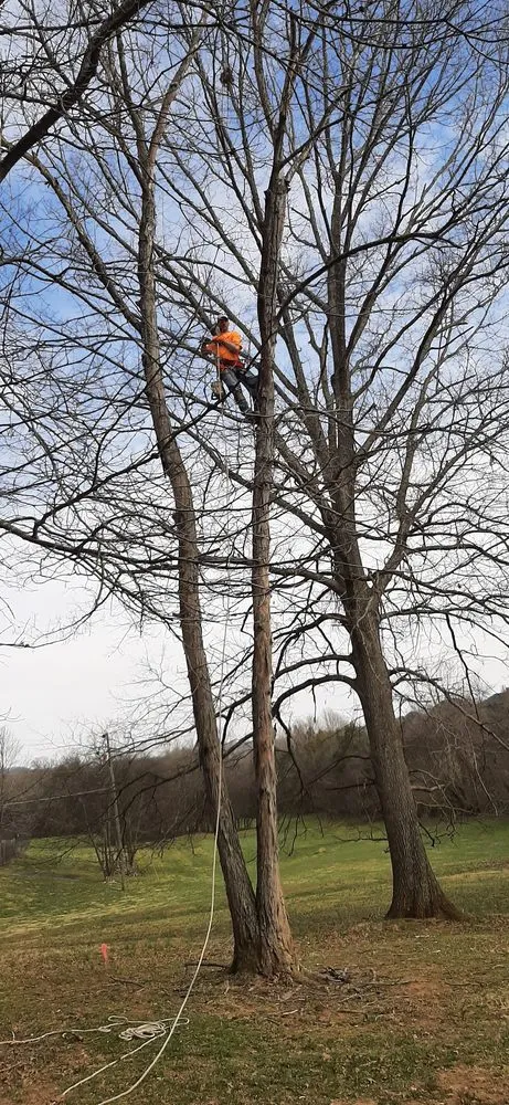 Reliable landscaping services experts serving Cedar Grove, TN - Target Property Services