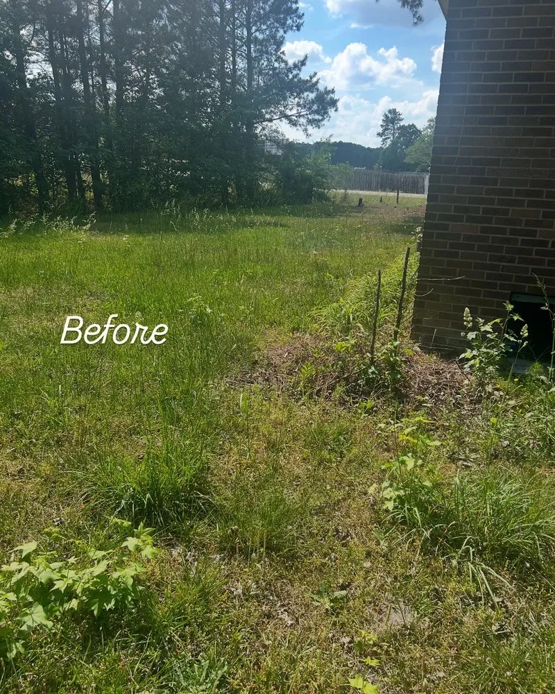 Custom landscape installation in Petersburg, VA by Tarheel Lawn