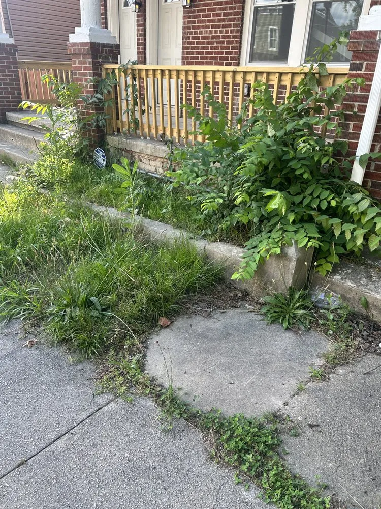 Custom outdoor landscaping in Petersburg, VA - Tarheel Lawn