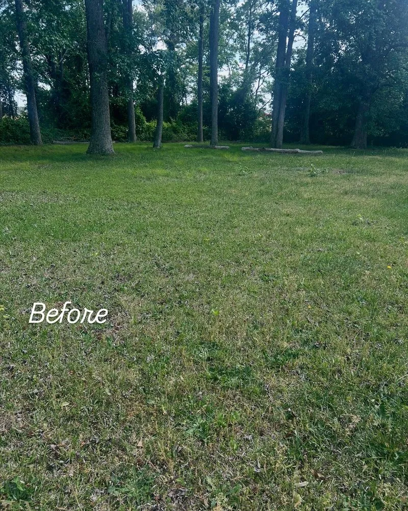 Local residential landscaping in Petersburg, VA by Tarheel Lawn