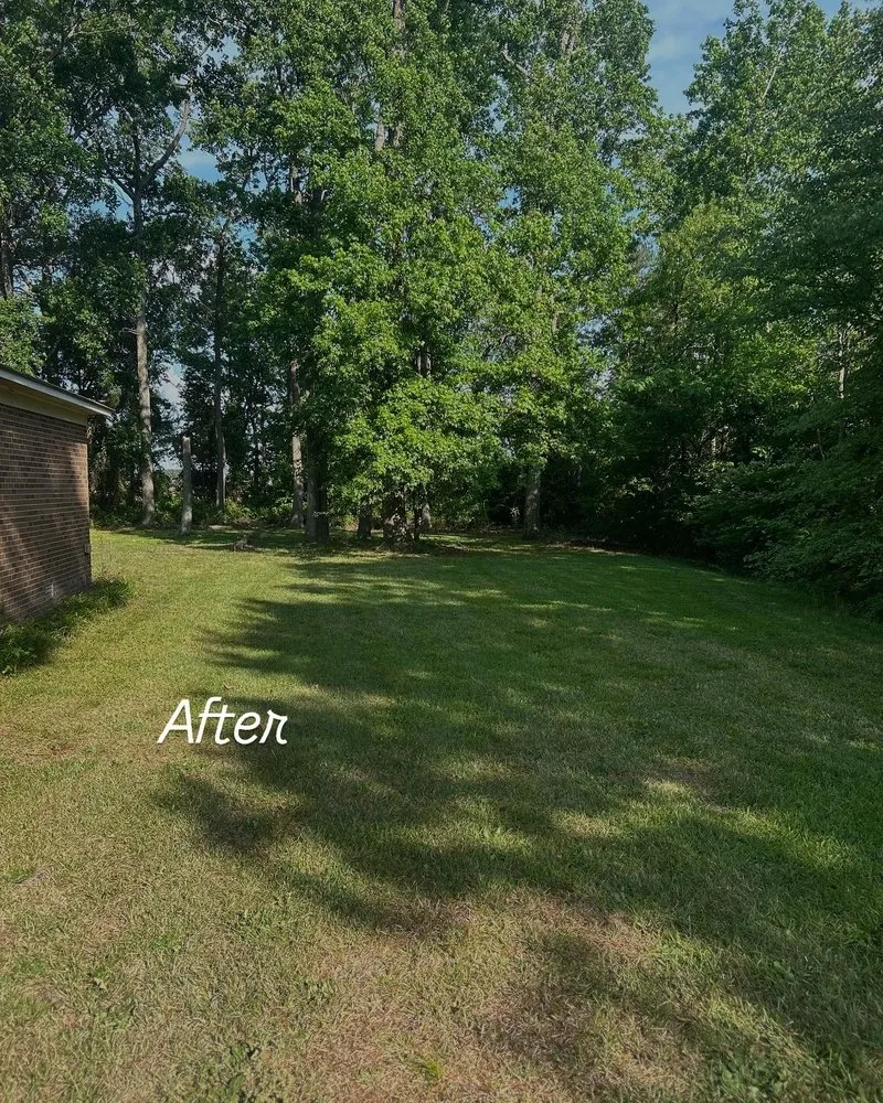 Trusted lawn care service for outdoor upgrades across Petersburg, VA - Tarheel Lawn