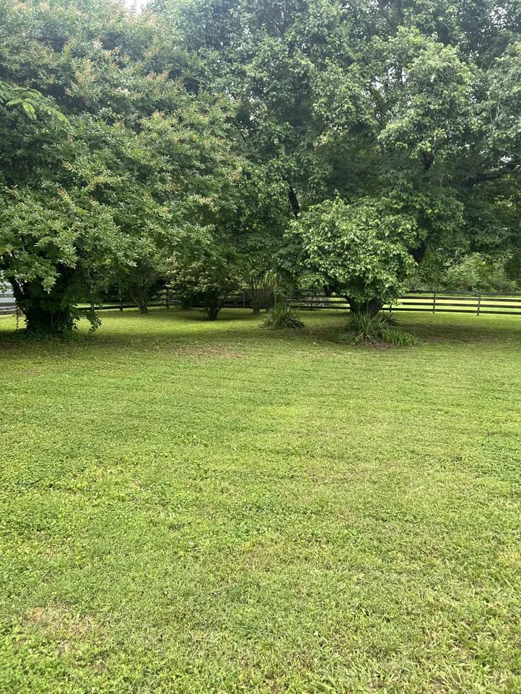 Local outdoor landscaping in Petersburg, VA - Tarheel Lawn