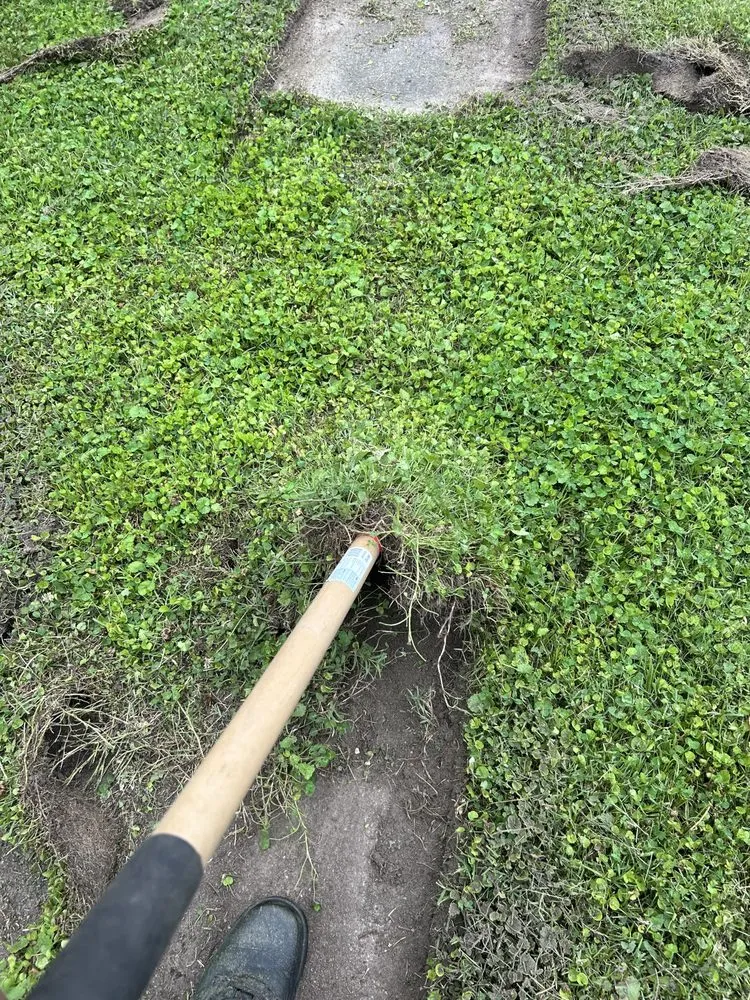 Professional landscape installation for year-round maintenance across Petersburg, VA - Tarheel Lawn