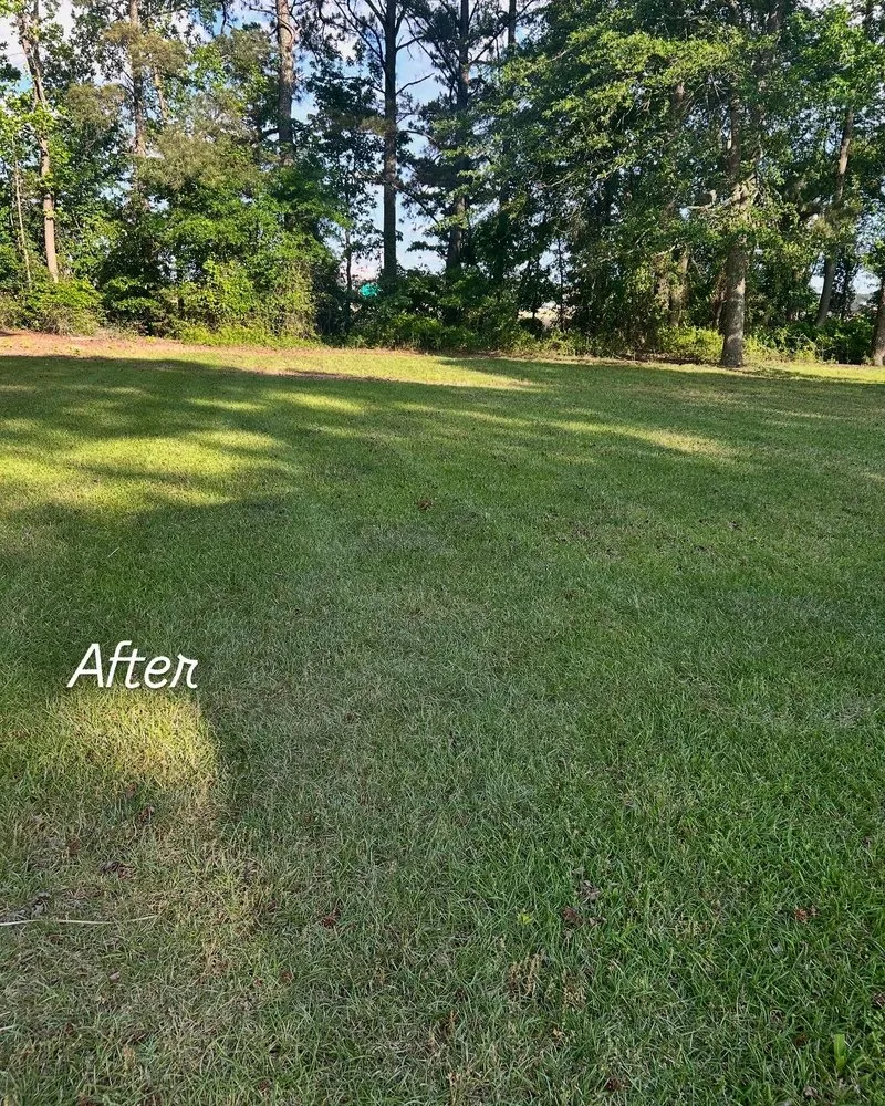 Expert residential landscaping for residential properties across Petersburg, VA - Tarheel Lawn