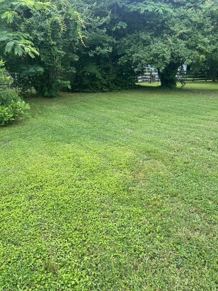 Affordable yard maintenance for residential properties across Petersburg, VA - Tarheel Lawn
