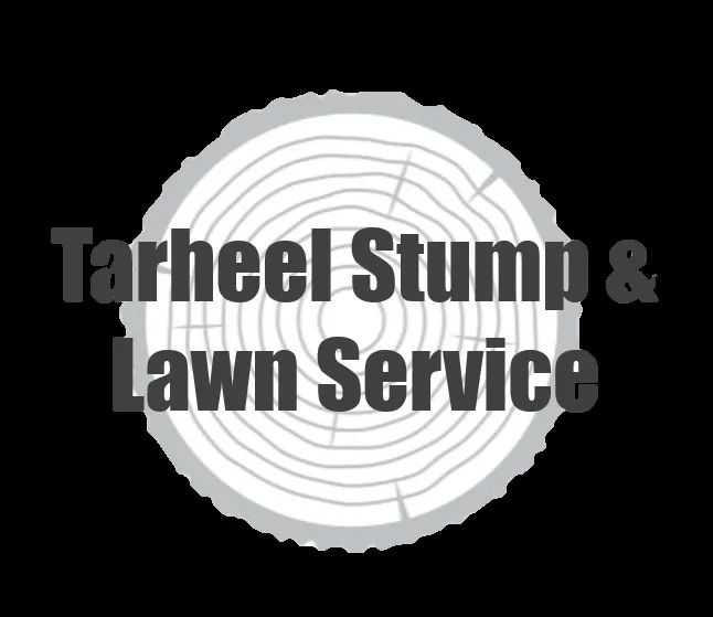 Trusted lawn care service in Mount Pleasant, NC by Tarheel Stump & Lawn Service