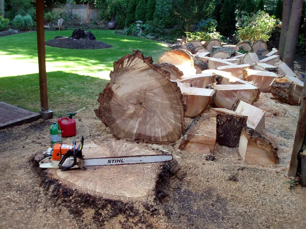 Trusted lawn mowing service in Mount Pleasant, NC - Tarheel Stump & Lawn Service