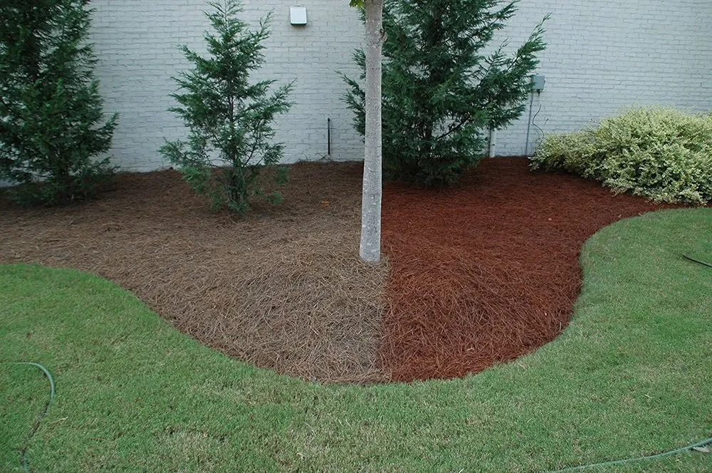 Reliable residential landscaping with custom design in Monroe, NC by Tarheel Turf Lawn Care & Maintenance