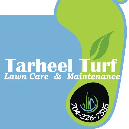Professional yard cleanup service in Monroe, NC by Tarheel Turf Lawn Care & Maintenance