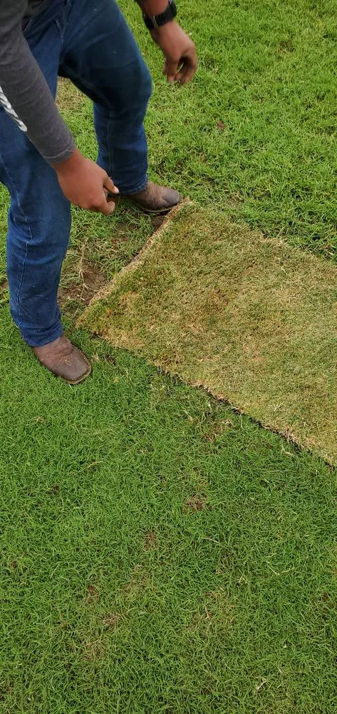 Trusted yard maintenance with custom design across Monroe, NC - Tarheel Turf Lawn Care & Maintenance