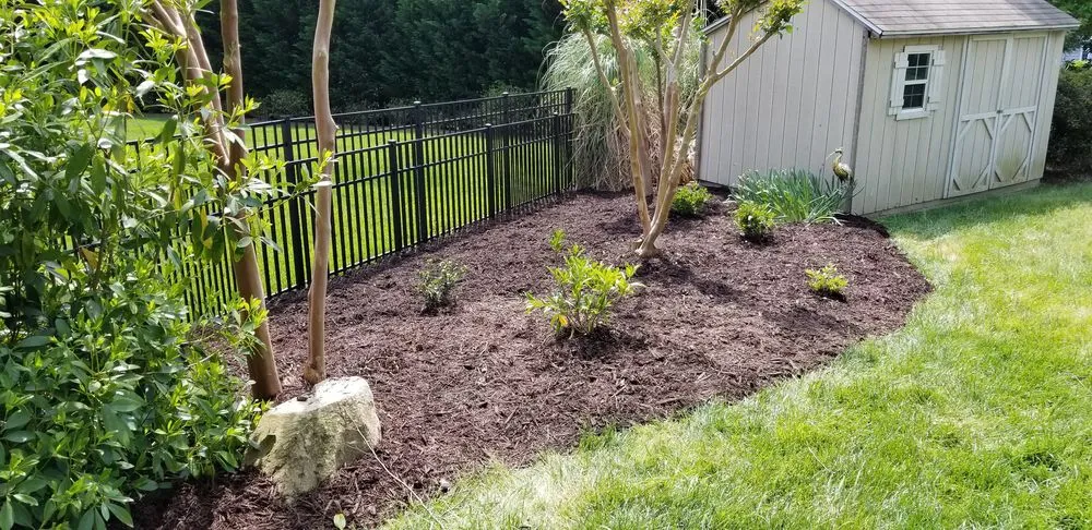 Expert lawn care service in Monroe, NC by Tarheel Turf Lawn Care & Maintenance